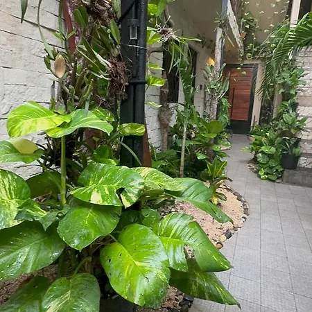 Apartment Sencillo *