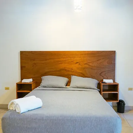 Alfa Apartment