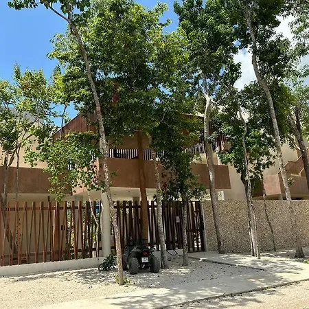 Paraiso Escapate A Apartment Tulum