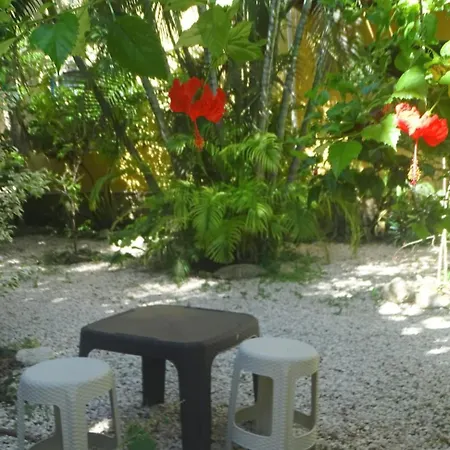 Hotel Casa Abanico
