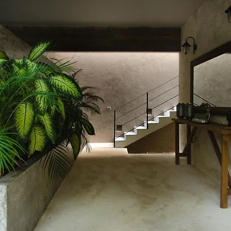 Apartment Nomad Humans Coliving Tulum
