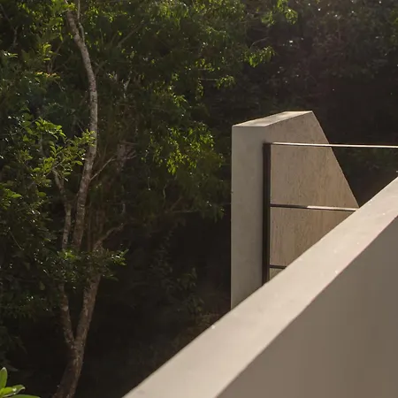 Nomad Humans Coliving Tulum