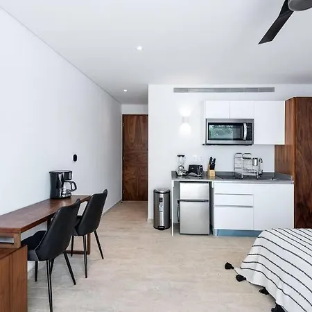Apartment Luxury Private Pool Spectacular Amenities Lagunas 117 Tulum