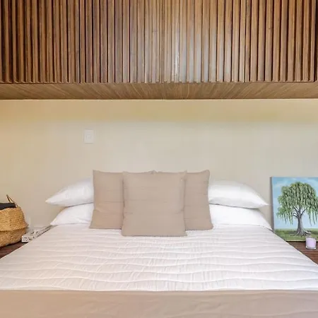 Alberca Y Balcon Privado A 6 Minutos De La Playa