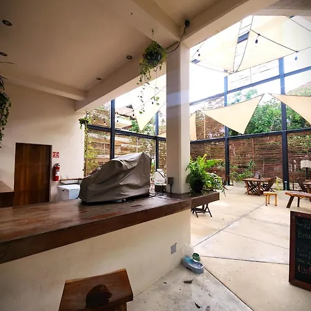 Selva Norte - - 3 Bdr - Roof & Jacuzzi Villa *