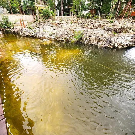 Selva Norte - - 3 Bdr - Roof & Jacuzzi