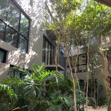 Boho Beautiful Special Fee For Bardo Daypass Tulum