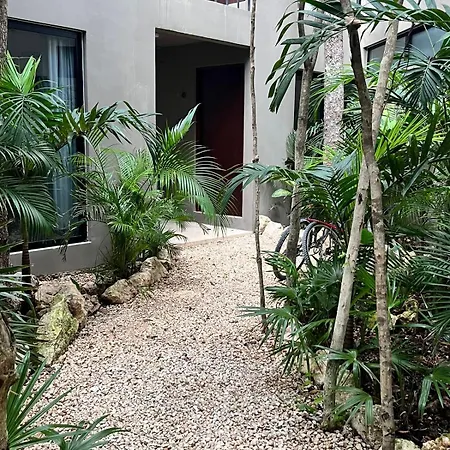 Apartment Boho Beautiful Special Fee For Bardo Daypass *