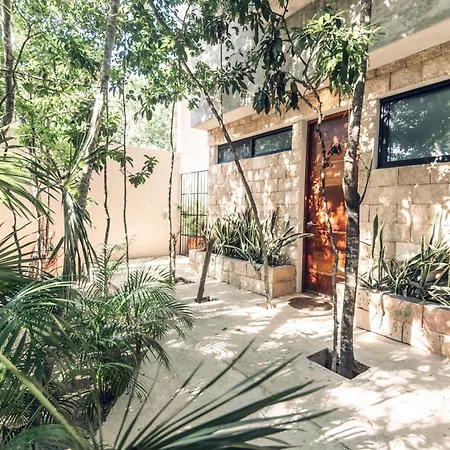 Nomad Humans Coliving Apartment Tulum