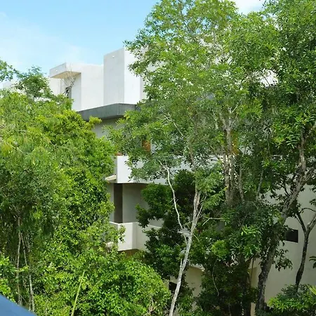 Apartment Melaan Jungle Retreat And Private Plunge Pool