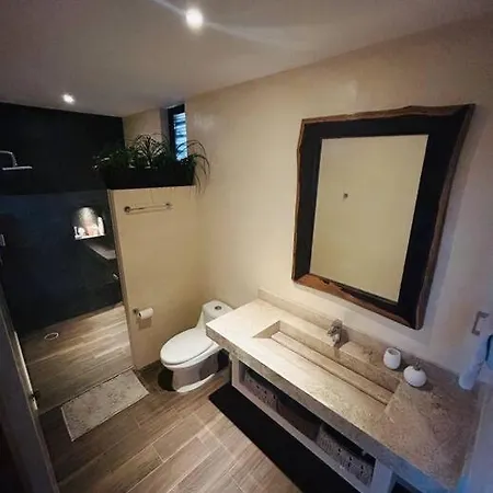 New Large Luxurious 1 Bedroom, 1 Bathroom In