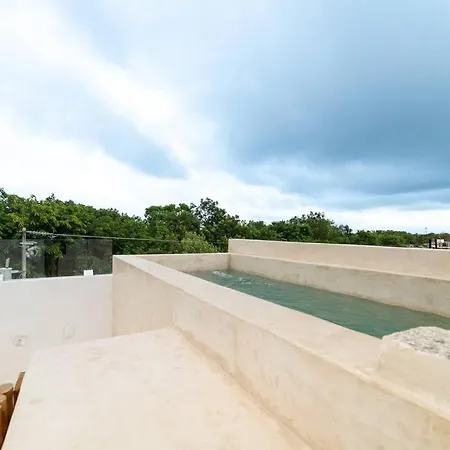 Apartment Relaxing Loft With Private Pool And Amazing Views In The Heart Of Tulum