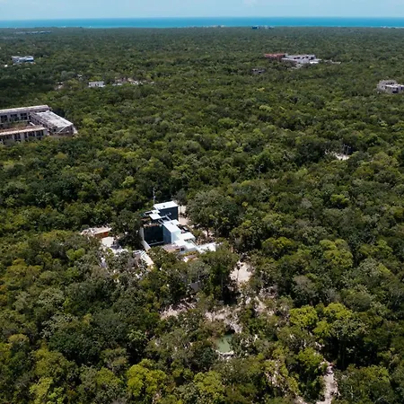 Picasso * Tulum