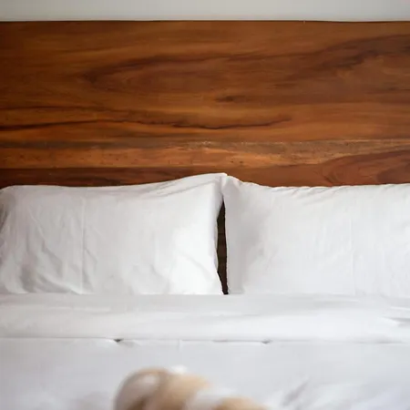 Holiday home La Veleta Getaway At Asana Leaf House Sleeps 12