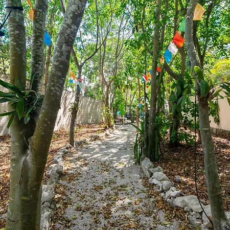 Centro - Steps To Downtown Hot Spots * Tulum