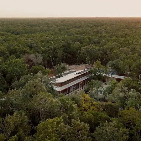 Casa Tropical 4br Pool And Enchanting Cenote *