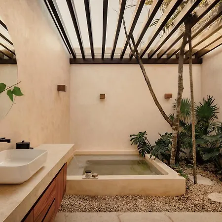 Villa Casa Tropical 4br Pool And Enchanting Cenote