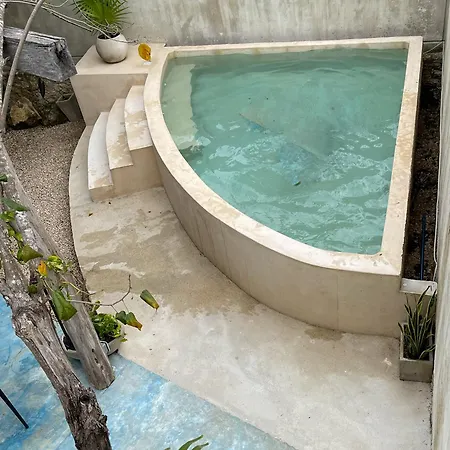 Unique 7-bedroom Property With Private Pool For 14 Guests Tulum