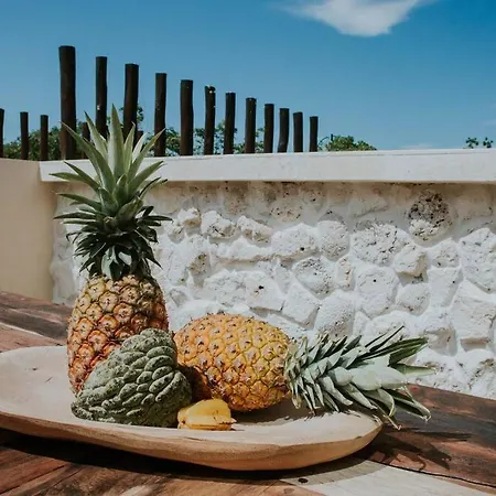 4 Story Villa, Private Pool & Jungle Rooftop