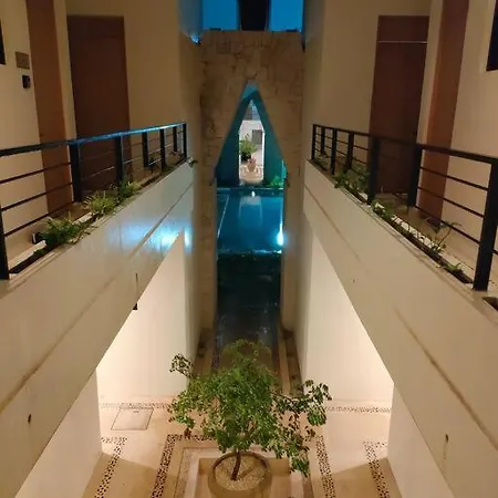 Joli Studio