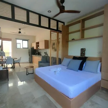 Joli Studio Apartment