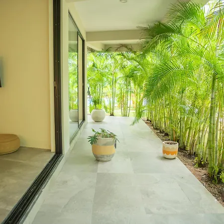 Xp By Dream Vacay Aparthotel