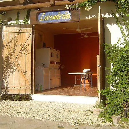 Lo Nuestro Petit Tulum