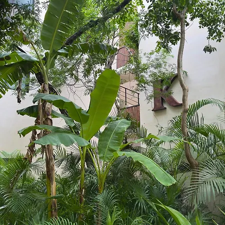 Cozy And Stylish Studio In Center Apartment Tulum