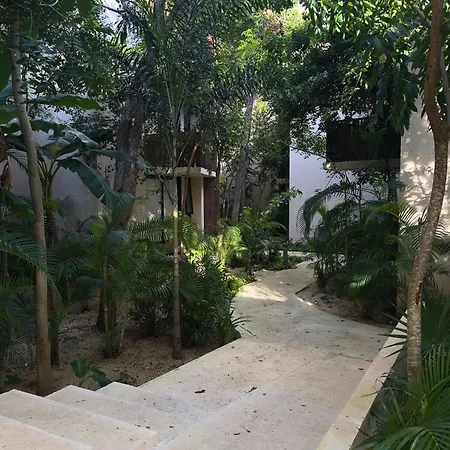Apartment Cozy And Stylish Studio In Center Tulum