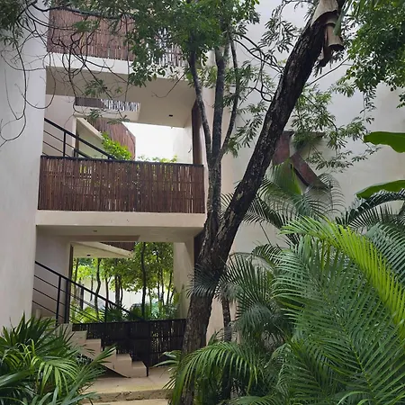 Cozy And Stylish Studio In Center Apartment Tulum