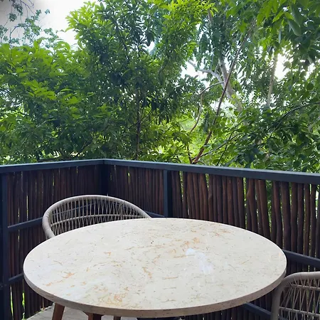 Cozy And Stylish Studio In Center Apartment Tulum