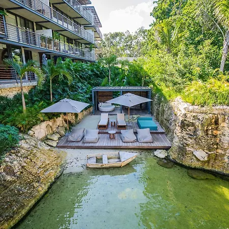 Divine 1br On Cenote Gym Tulum