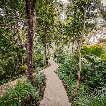 Divine 1br On Cenote Gym Apartment