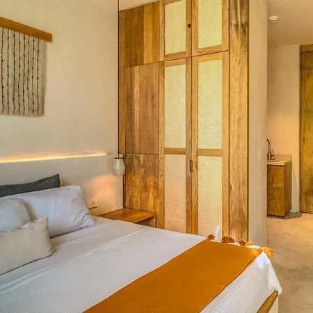 Magic Loft With Yoga Classes, Pool, Gym, Fast Wifi * Tulum