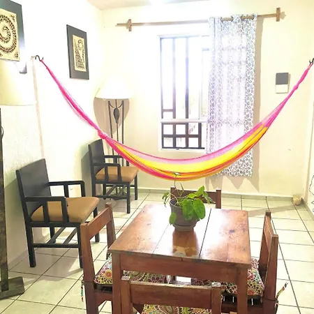 Vida Solo Hay Tulum