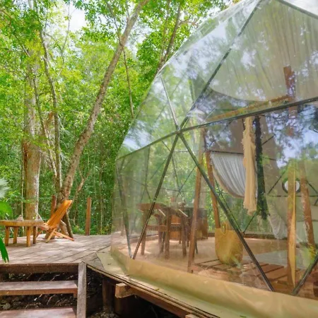 Amaite Geodesic Domes