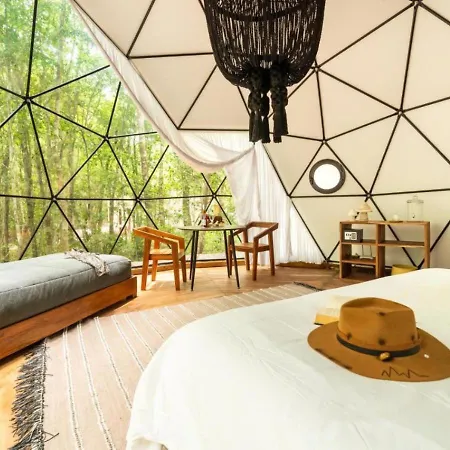 Amaite Geodesic Domes