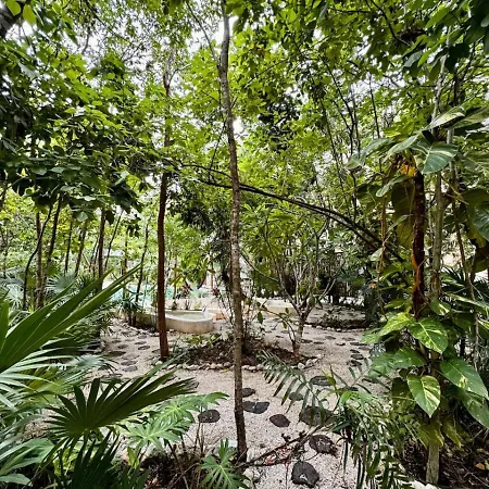 Apartment 2 Bed In The Heart Of La Veleta Tulum