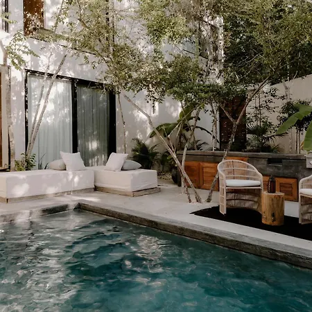 Sumptuous *