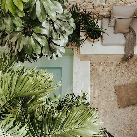 Design Casa Nautilus * Tulum