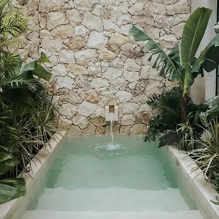 Design Casa Sandalo With Private Pool And Lounge * Tulum