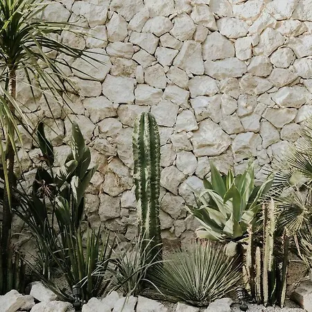 Design Casa Sandalo With Private Pool And Lounge * Tulum