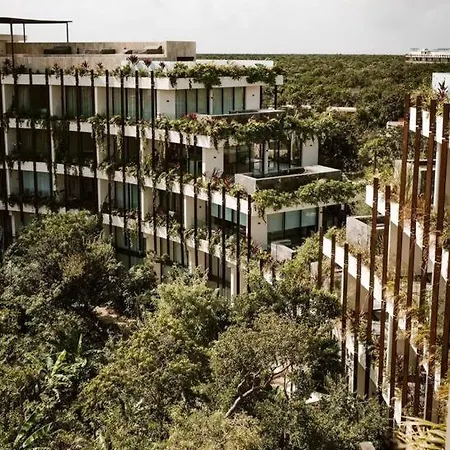 Cozy Aparment Pool View Apartment Tulum
