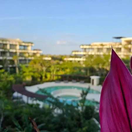 Cozy Aparment Pool View Apartment
