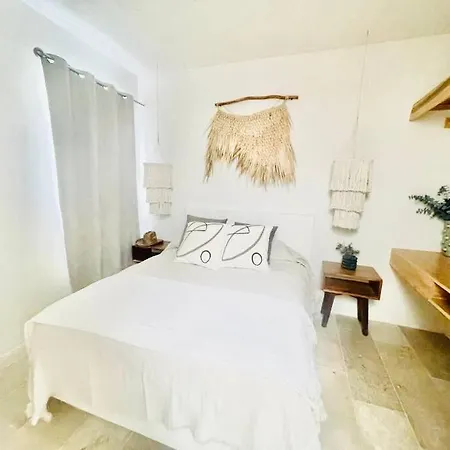 Jungle Chic - Presidential Ph W Private Pool And Rooftop Apartment Tulum