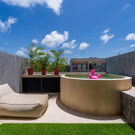 *jungle Ph W/pool, Close To Downtown & Tulum