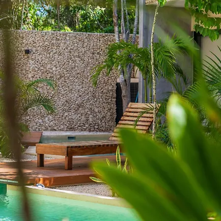 *jungle Ph W/pool, Close To Downtown & Apartment
