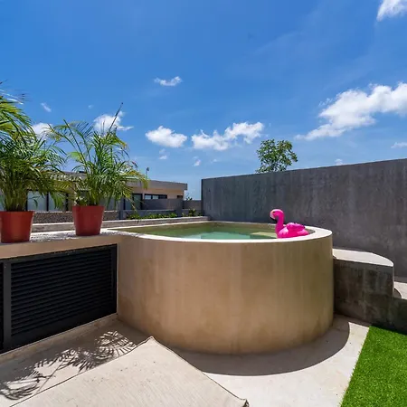 *jungle Ph W/pool, Close To Downtown &