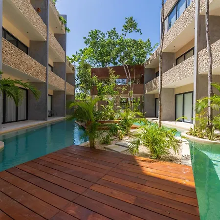 *jungle Ph W/pool, Close To Downtown & Tulum
