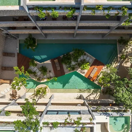 *jungle Ph W/pool, Close To Downtown & Tulum